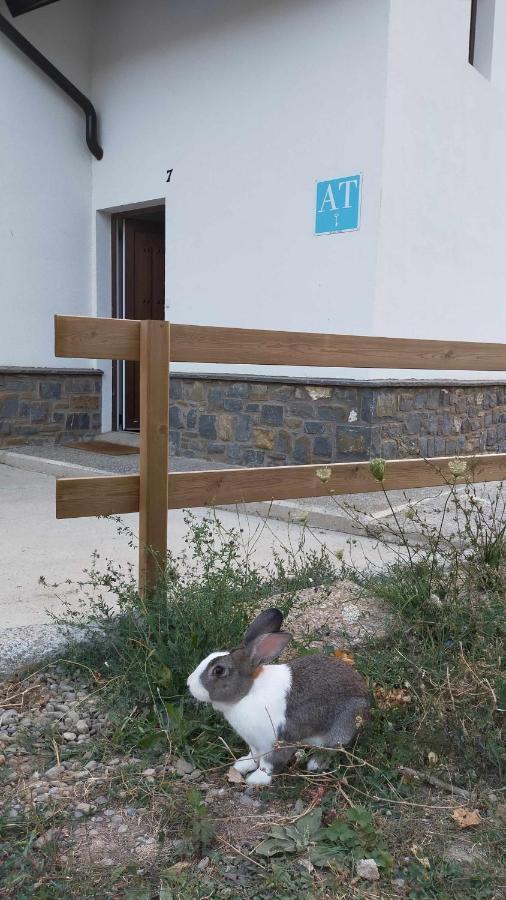 Casa Cotefablo Aloj Sorrosal Gavin Biescas Lejlighed Eksteriør billede